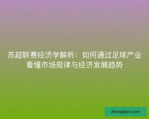 苏超联赛经济学解析：如何通过足球产业看懂市场规律与经济发展趋势